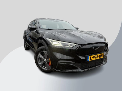 Ford Mustang Mach-E - Afbeelding 1 van 30
