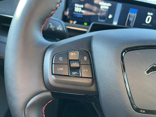 Ford Mustang Mach-E - Afbeelding 12 van 30