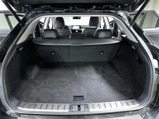 Lexus RX - Afbeelding 10 van 30