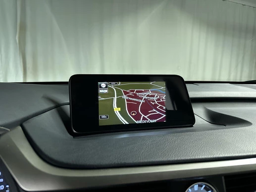 Lexus RX - Afbeelding 17 van 30