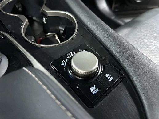 Lexus RX - Afbeelding 27 van 30