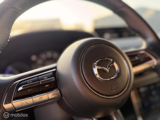 Mazda MX-30 - Afbeelding 17 van 21