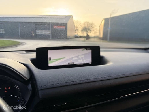 Mazda MX-30 - Afbeelding 17 van 19