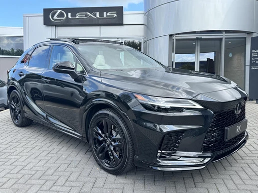 Lexus RX - Afbeelding 9 van 30