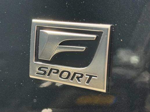 Lexus RX - Afbeelding 12 van 30