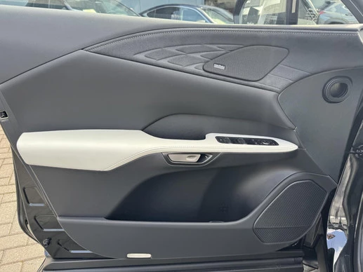 Lexus RX - Afbeelding 20 van 30