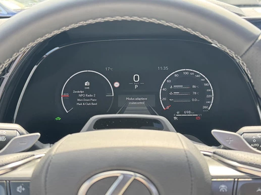 Lexus RX - Afbeelding 22 van 30