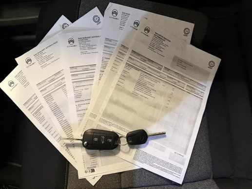 Citroën C4 Cactus - Afbeelding 22 van 22