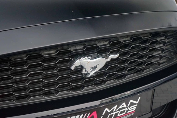 Ford Mustang - Afbeelding 10 van 30