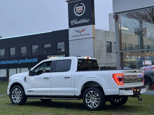 Ford F-150 - Afbeelding 8 van 30