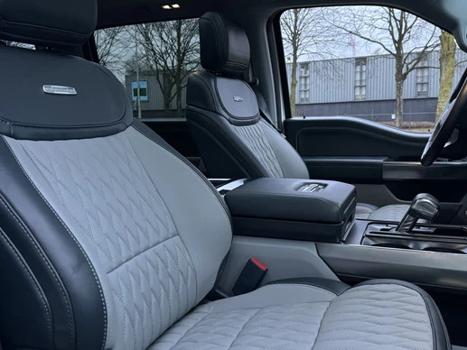 Ford F-150 - Afbeelding 20 van 30