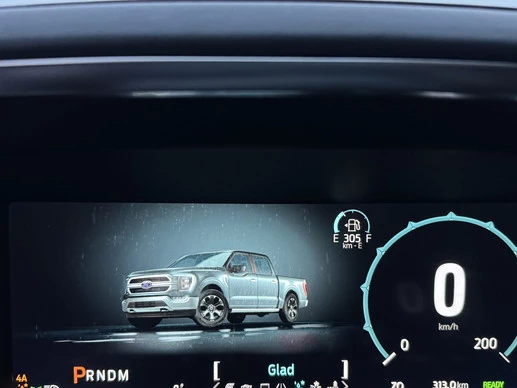 Ford F-150 - Afbeelding 29 van 30