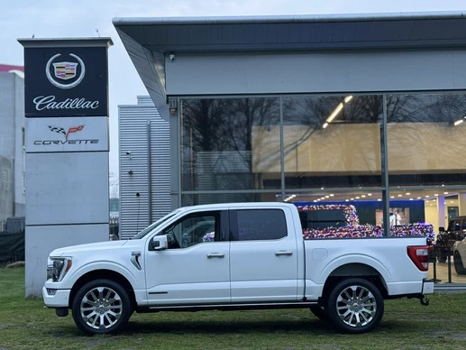 Ford F-150 - Afbeelding 11 van 30