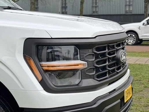 Ford F-150 - Afbeelding 3 van 30