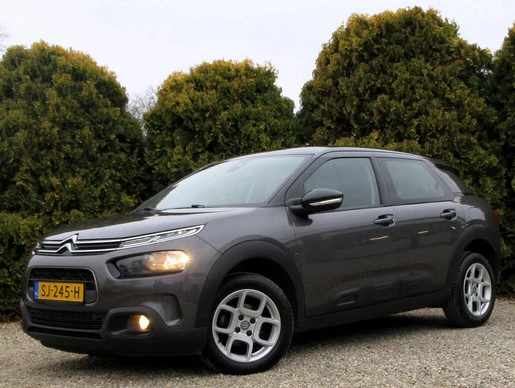 Citroën C4 Cactus - Afbeelding 1 van 15