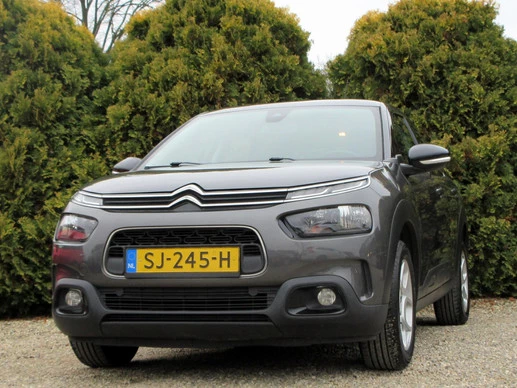 Citroën C4 Cactus - Afbeelding 4 van 15