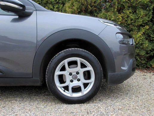Citroën C4 Cactus - Afbeelding 10 van 15