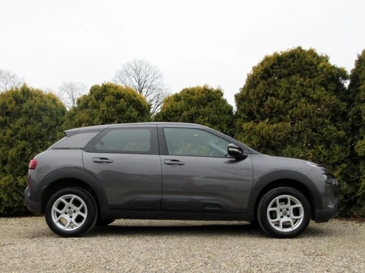 Citroën C4 Cactus - Afbeelding 13 van 15