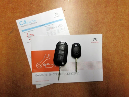Citroën C4 Cactus - Afbeelding 15 van 15