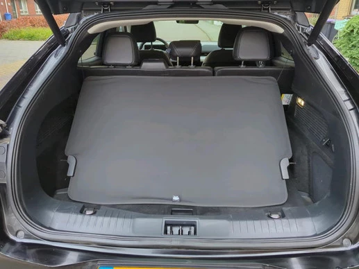 Ford Mustang Mach-E - Afbeelding 13 van 13