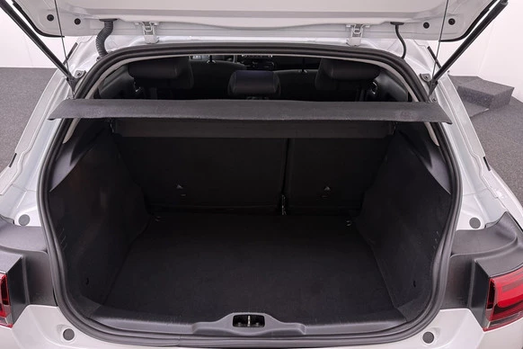Citroën C4 Cactus - Afbeelding 13 van 30