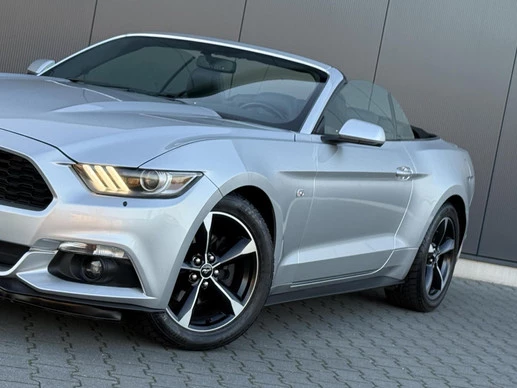 Ford Mustang - Afbeelding 6 van 29