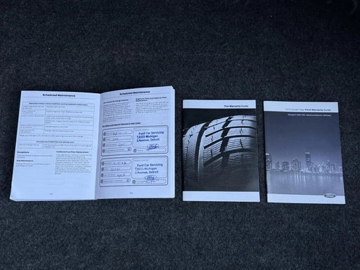 Ford Mustang - Afbeelding 24 van 29