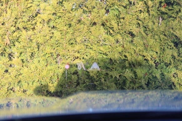 BMW iX1 - Afbeelding 10 van 30