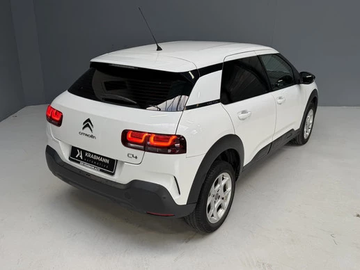 Citroën C4 Cactus - Afbeelding 10 van 30