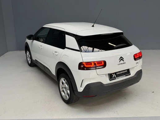 Citroën C4 Cactus - Afbeelding 13 van 30