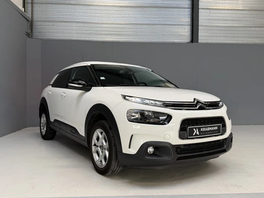 Citroën C4 Cactus - Afbeelding 30 van 30