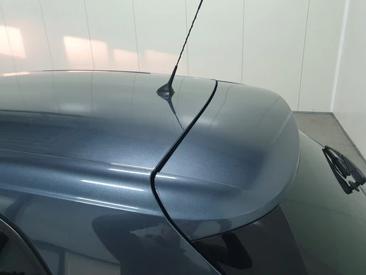 Renault Mégane - Afbeelding 25 van 30