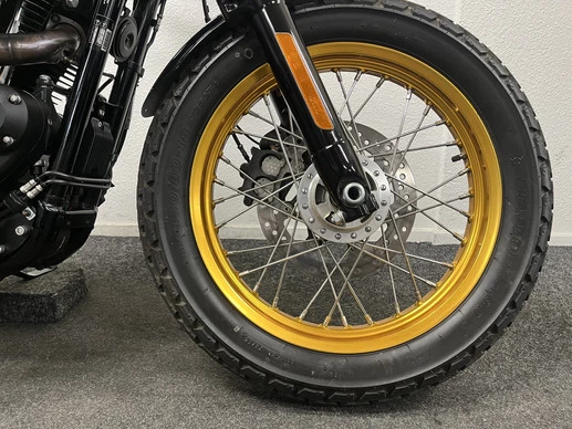 Harley-Davidson Sportster - Afbeelding 6 van 23