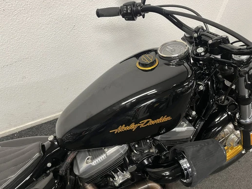 Harley-Davidson Sportster - Afbeelding 9 van 23