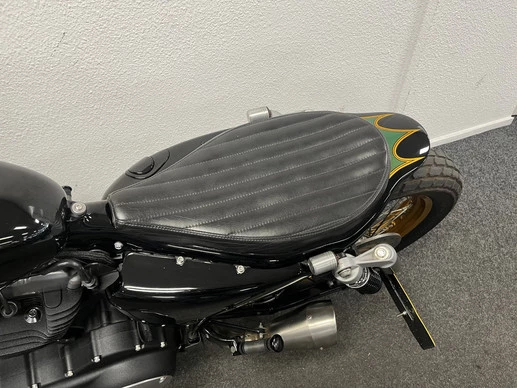 Harley-Davidson Sportster - Afbeelding 20 van 23