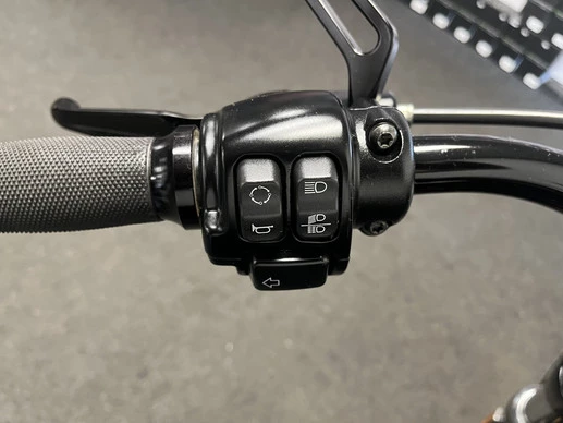 Harley-Davidson Sportster - Afbeelding 21 van 23