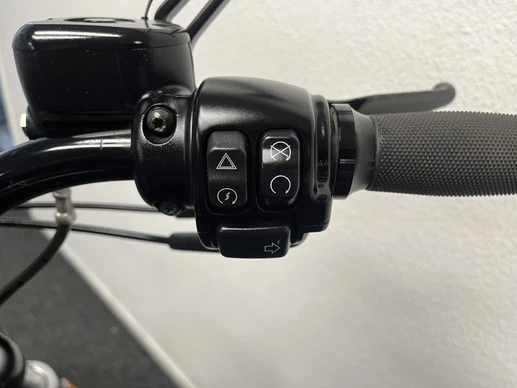 Harley-Davidson Sportster - Afbeelding 22 van 23