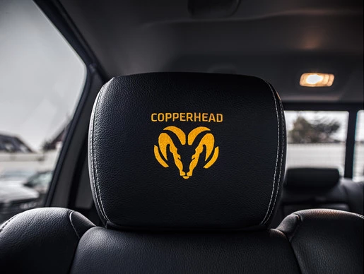 Dodge Ram 1500 - Afbeelding 18 van 23