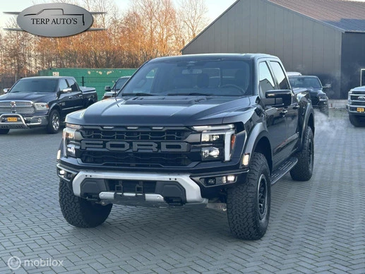 Ford F-150 - Afbeelding 1 van 19