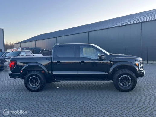 Ford F-150 - Afbeelding 3 van 19