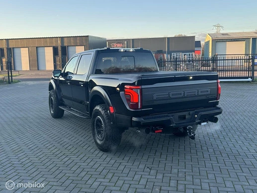 Ford F-150 - Afbeelding 5 van 19