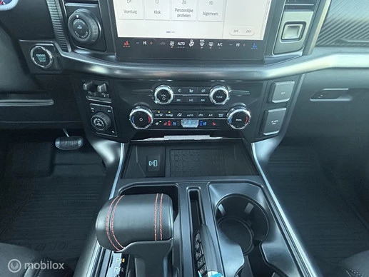 Ford F-150 - Afbeelding 16 van 19