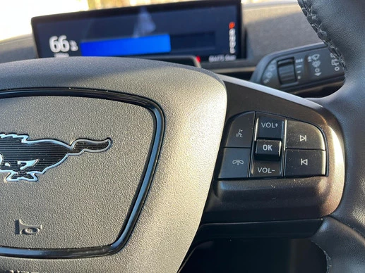 Ford Mustang Mach-E - Afbeelding 13 van 30