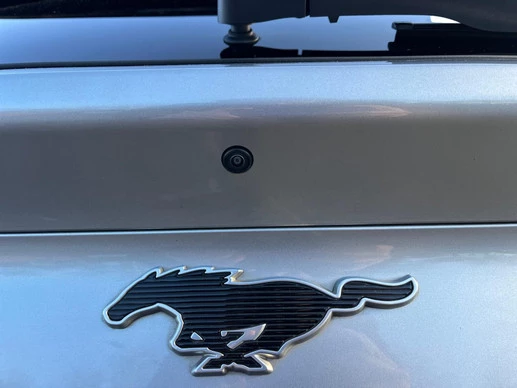 Ford Mustang Mach-E - Afbeelding 29 van 30