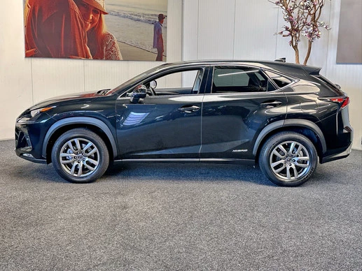 Lexus NX - Afbeelding 5 van 30