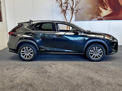 Lexus NX - Afbeelding 10 van 30