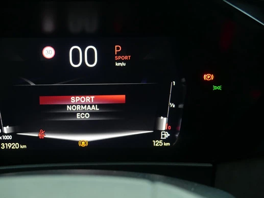 DS DS 4 - Afbeelding 30 van 30