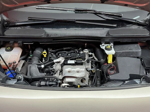 Ford Tourneo Connect - Afbeelding 11 van 30