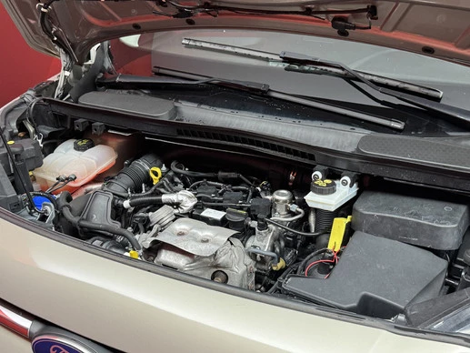 Ford Tourneo Connect - Afbeelding 12 van 30