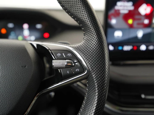 Škoda Enyaq iV - Afbeelding 10 van 30